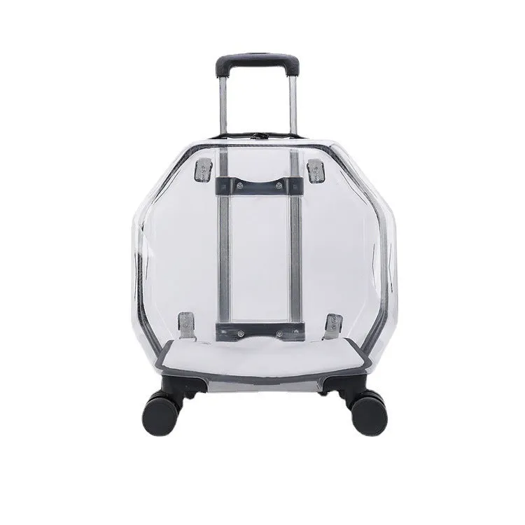 Transparent Backpack With Large Capacity And Ventilated / Mochila transparente con gran capacidad y ventilación