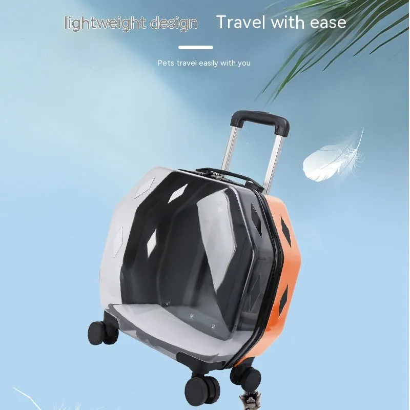 Transparent Backpack With Large Capacity And Ventilated / Mochila transparente con gran capacidad y ventilación